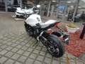 Honda CB 1000 Hornet CB1000S ED Hornet mit Style und Sport Paket Белый - thumbnail 3