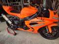 Kawasaki Ninja ZX-6R 636 pronto pista - thumbnail 16