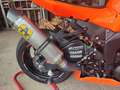 Kawasaki Ninja ZX-6R 636 pronto pista - thumbnail 31