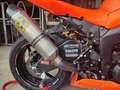 Kawasaki Ninja ZX-6R 636 pronto pista - thumbnail 30