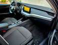 Skoda Octavia Ambition Grau - thumbnail 12