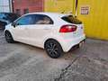 Kia Rio 1.4 CRDi WGT 5p. EX Bianco - thumbnail 5