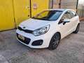 Kia Rio 1.4 CRDi WGT 5p. EX Bianco - thumbnail 1