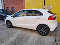 Kia Rio 1.4 CRDi WGT 5p. EX Bianco - thumbnail 6