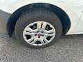 Fiat Doblo 1.3 mjt 16v Easy 90cv !!! FURGONE LAMIERATO Bianco - thumbnail 15