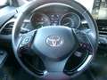 Toyota C-HR C-HR Hybrid 1.8h Business e-cvt Grigio - thumbnail 13