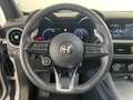 Alfa Romeo Stelvio Stelvio 2.2 t Veloce Q4 210cv auto Grigio - thumbnail 10