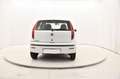 Fiat Punto 1.2 Classic Active 5p Bianco - thumbnail 4