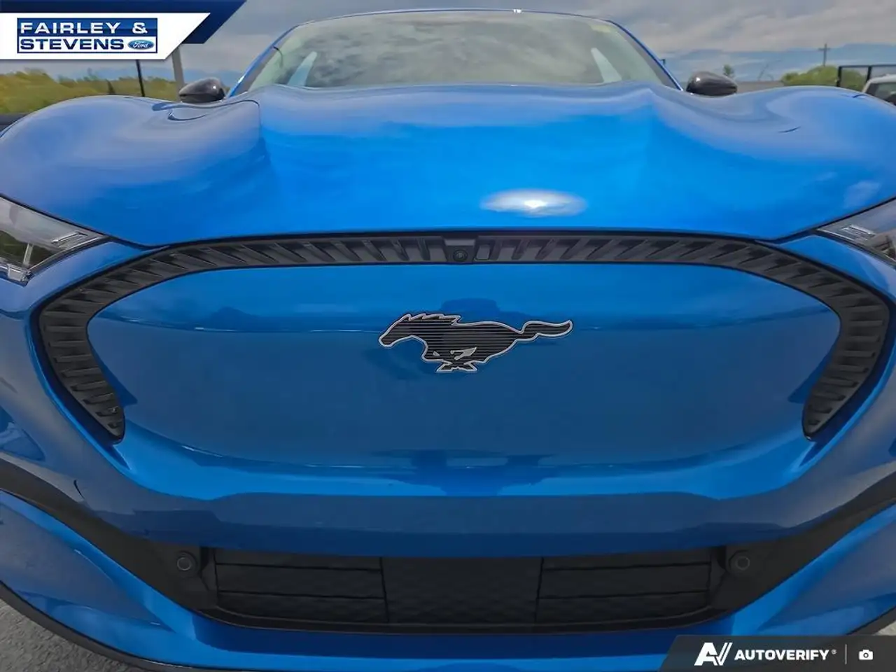 Ford Mustang Mach-E снимка Ford Mustang Mach-E
