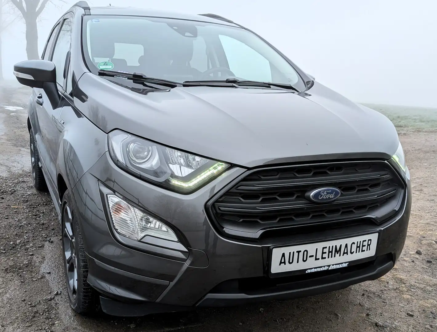 Ford EcoSport ST-Line Grau - 2