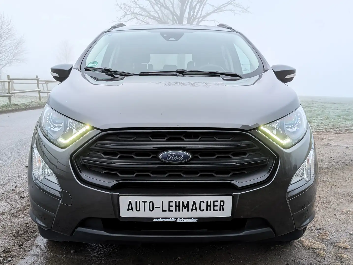Ford EcoSport ST-Line Grau - 1