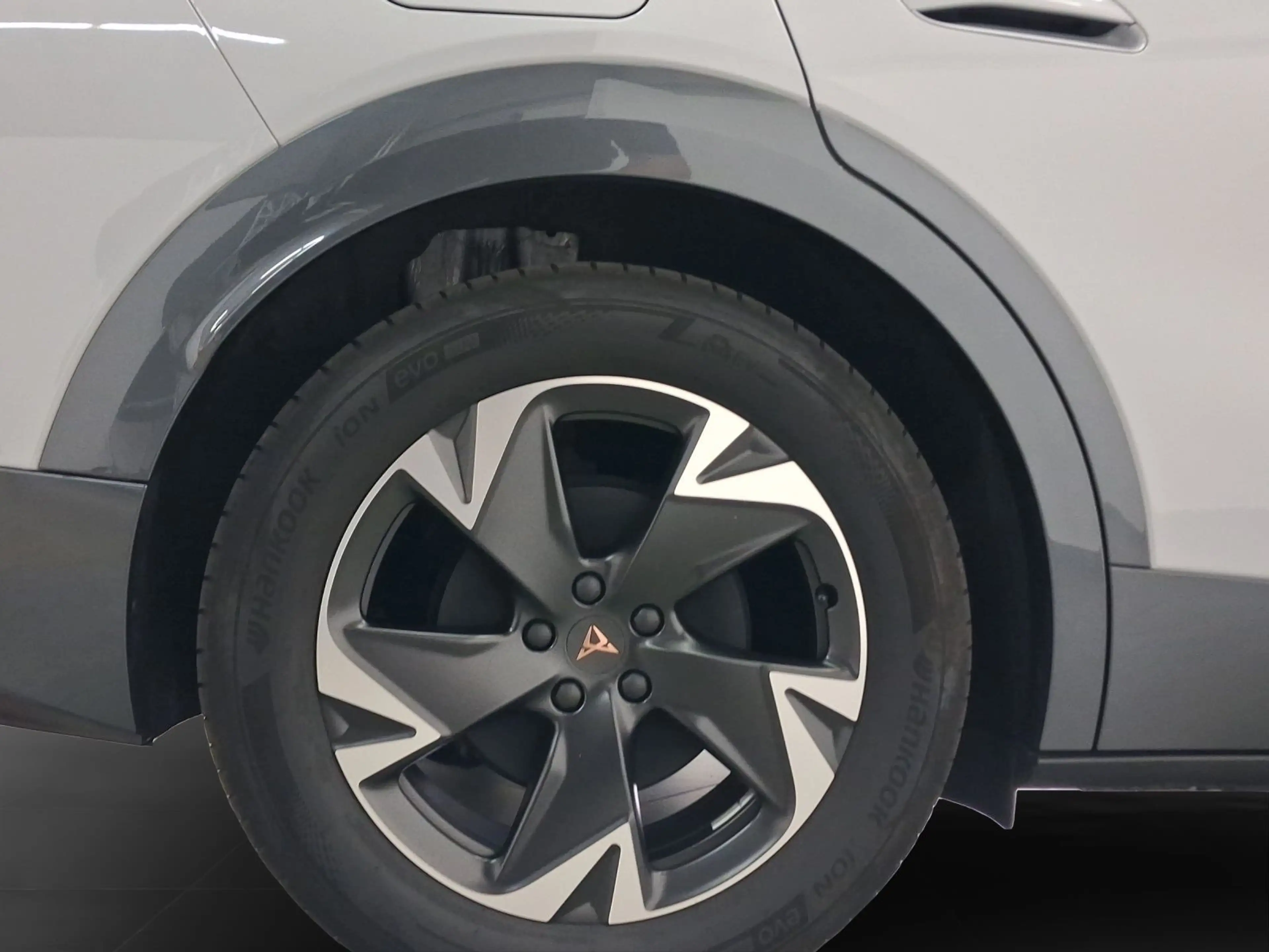 CUPRA Tavascan ENDURANCE HEAT PUMP STHZ LM19 REAR VIEW — photo 7