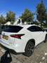 Lexus NX 300h E-FOUR F-Sport Parelmoer/Goed Onderhouden Beyaz - thumbnail 8