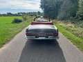 Mercedes-Benz 220 SEb Cabriolet 1963 Totaal gerestaureerd Grau - thumbnail 8
