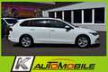 Volkswagen Golf Var. 1,5 TSI "Life" LED+Navi+SpoSi+SHZ+ACC Blanc - thumbnail 2