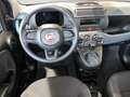 Fiat Panda Pandina 1.0 firefly hybrid Pop s&s 70cv - PROMO Schwarz - thumbnail 27