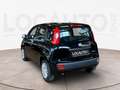 Fiat Panda Pandina 1.0 firefly hybrid Pop s&s 70cv - PROMO Schwarz - thumbnail 28