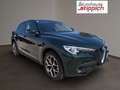 Alfa Romeo Stelvio 2,2 M-Jet 210 AT Super Q4 Grün - thumbnail 18