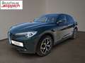 Alfa Romeo Stelvio 2,2 M-Jet 210 AT Super Q4 Grün - thumbnail 2