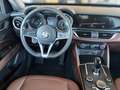 Alfa Romeo Stelvio 2,2 M-Jet 210 AT Super Q4 Grün - thumbnail 10