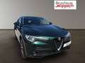 Alfa Romeo Stelvio 2,2 M-Jet 210 AT Super Q4 Grün - thumbnail 19