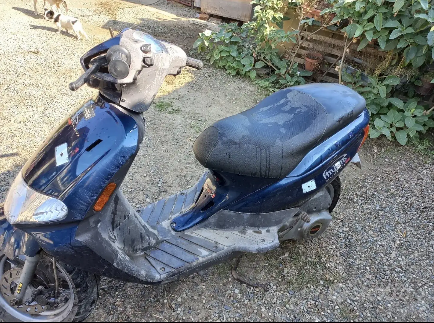 Derbi Atlantis scooter - 2