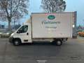 Fiat Ducato FURGONE ALLESTITO FURGONATO, IVA COMPRESA - thumbnail 3