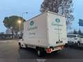 Fiat Ducato FURGONE ALLESTITO FURGONATO, IVA COMPRESA - thumbnail 4