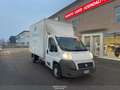 Fiat Ducato FURGONE ALLESTITO FURGONATO, IVA COMPRESA - thumbnail 2