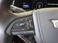Cadillac Escalade 6,2l Sport Platinum,Nachtsicht,Luft, Noir - thumbnail 10