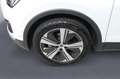SEAT Tarraco 1.5 TSI AUTOMATICO DSG XPERIENCE 7 POSTI Bianco - thumbnail 7