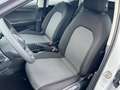 SEAT Ibiza Reference TSI|LED|WINTERPAKET|SITZHEIZUNG| Weiß - thumbnail 8