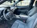 Lexus UX 250h Launch Edition Aut. LED~KAMERA~NAVI~ Grün - thumbnail 9