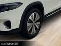 Mercedes-Benz EQB 300 EQB 300 4MATIC Advanced+/Pano/Energizing+/Kamera Weiß - thumbnail 10