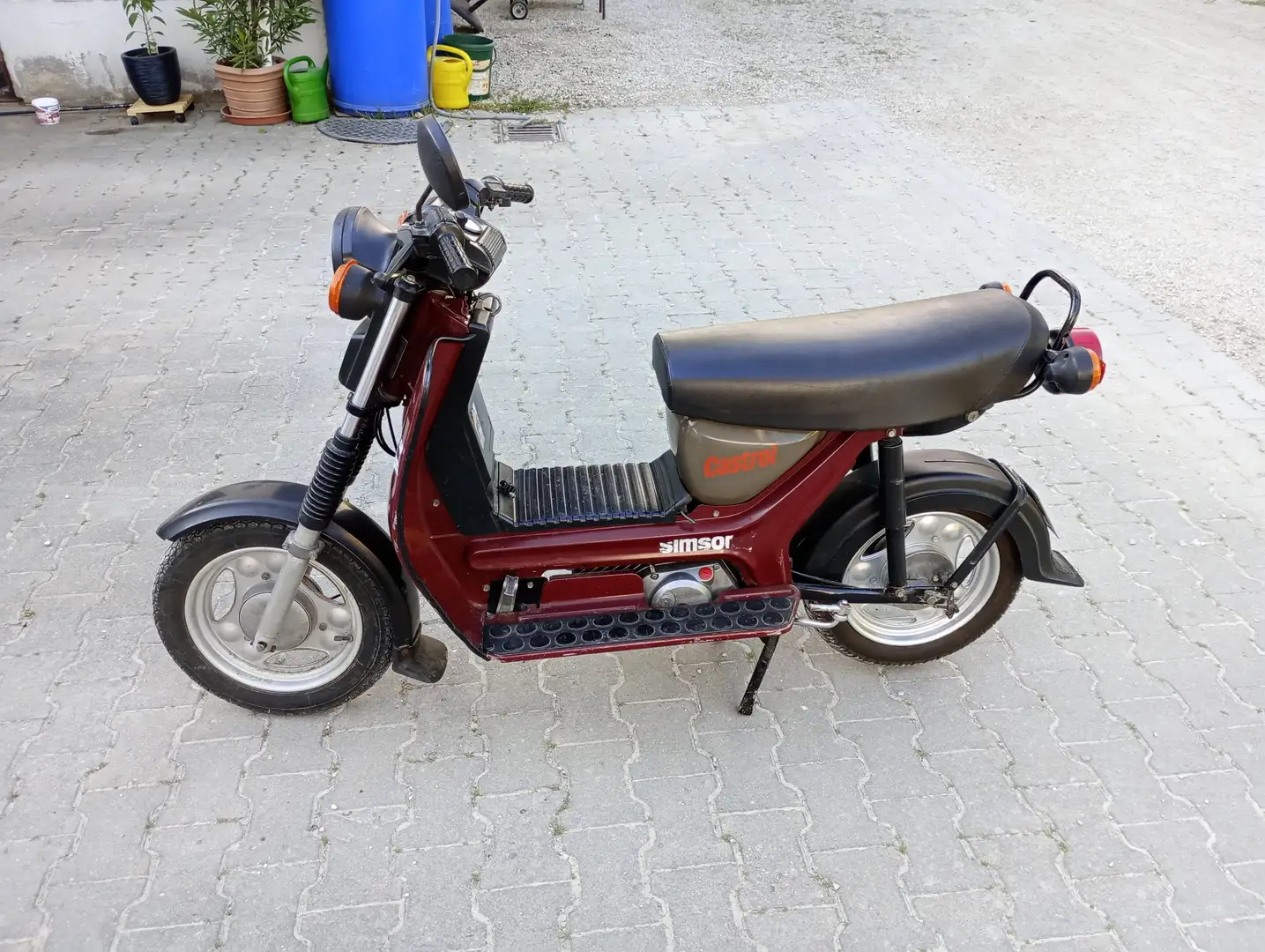 Simson City Bird Rot - 1