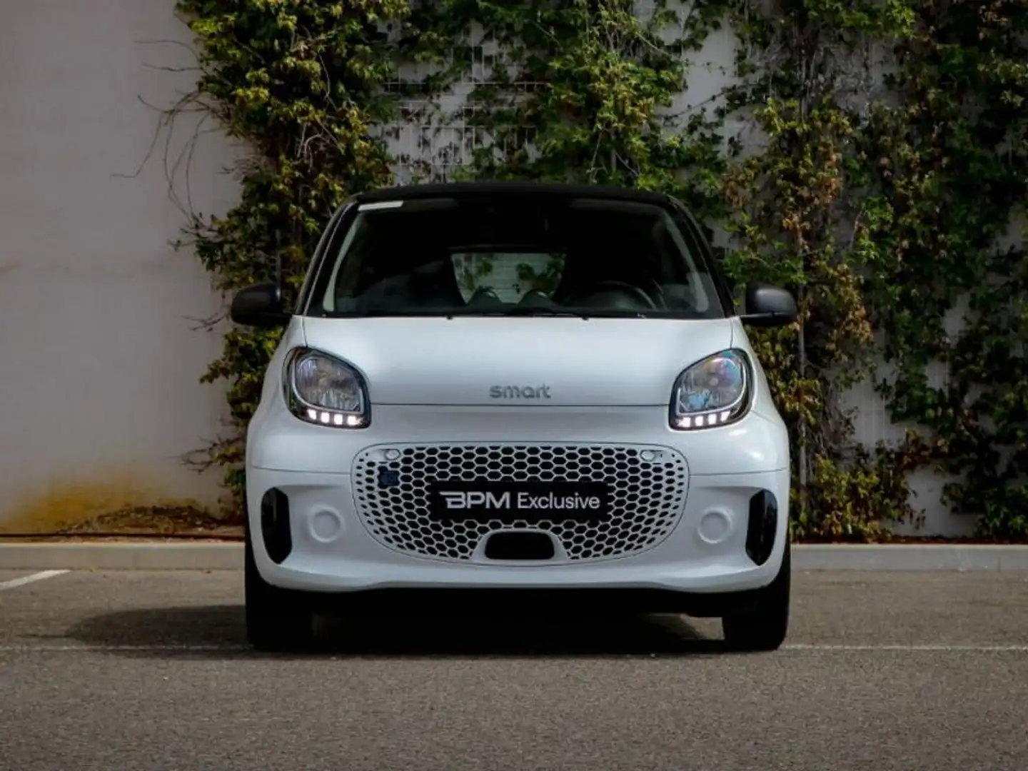 smart forTwo EQ 82ch passion Blanc - 2