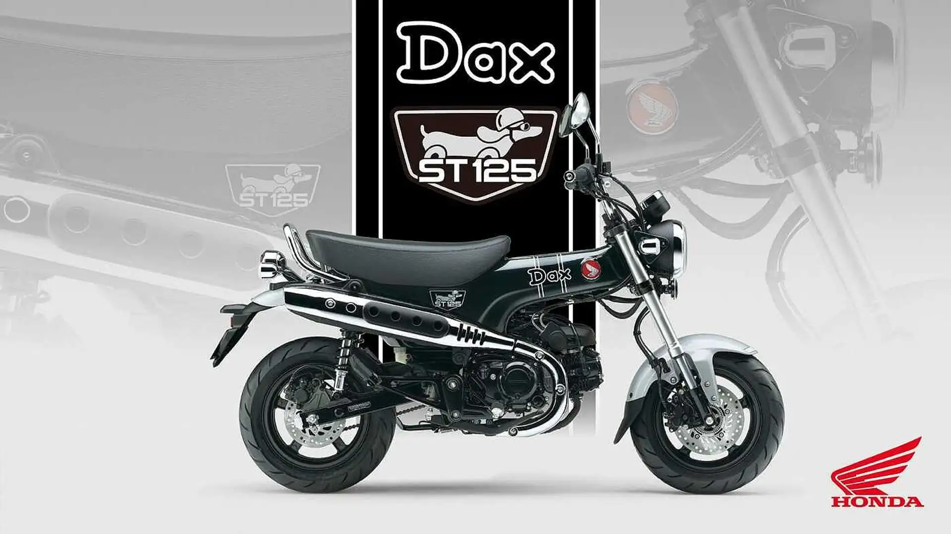 Honda DAX  ST 125 2025 6 Jahre Garantie Schwarz - 2