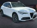 Alfa Romeo Stelvio 2020 2.2 t Ti Q4 210cv auto Blanc - thumbnail 2
