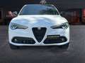 Alfa Romeo Stelvio 2020 2.2 t Ti Q4 210cv auto Blanc - thumbnail 1