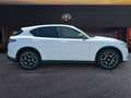Alfa Romeo Stelvio 2020 2.2 t Ti Q4 210cv auto Blanc - thumbnail 6