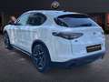 Alfa Romeo Stelvio 2020 2.2 t Ti Q4 210cv auto Blanc - thumbnail 5