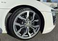 Audi R8 V10 5.2 FSI 525CH R-TRONIC PACK CARBON Weiß - thumbnail 20