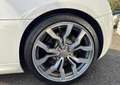 Audi R8 V10 5.2 FSI 525CH R-TRONIC PACK CARBON Weiß - thumbnail 18