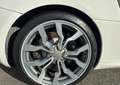 Audi R8 V10 5.2 FSI 525CH R-TRONIC PACK CARBON Weiß - thumbnail 19