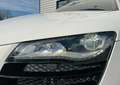 Audi R8 V10 5.2 FSI 525CH R-TRONIC PACK CARBON Weiß - thumbnail 5