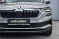 Skoda Karoq Style 4x4 2.0 TDI DSG Grau - thumbnail 4