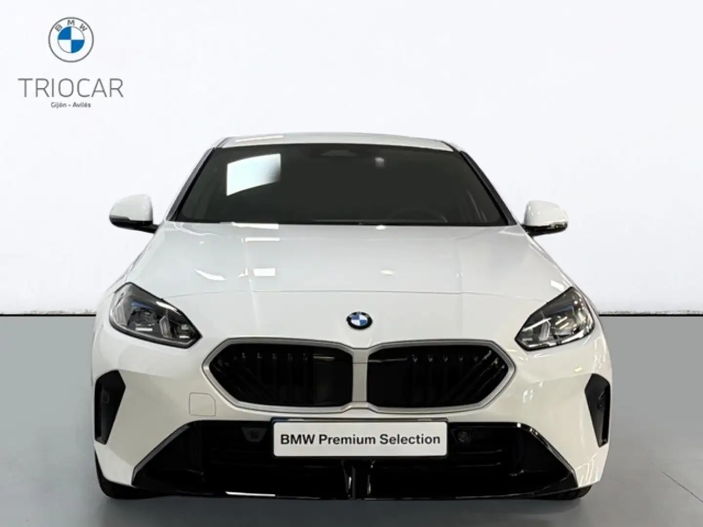 BMW 120 120d kW (163 CV) - 2