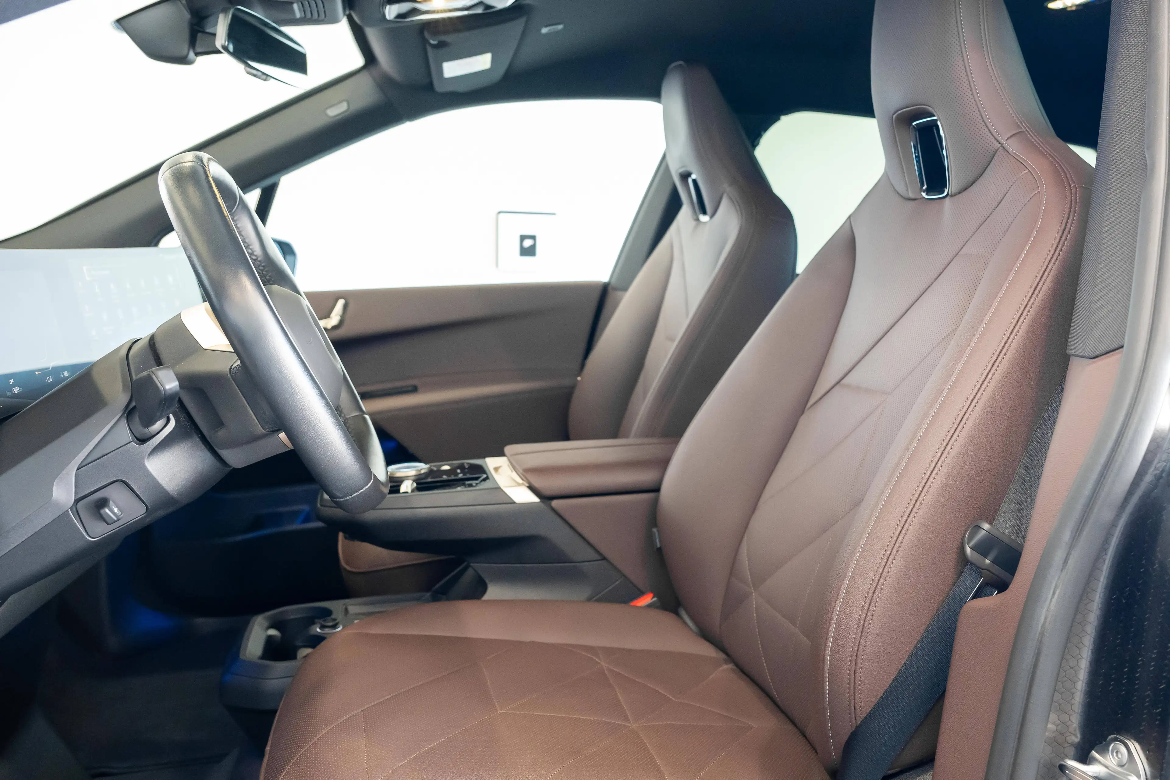 BMW iX xDrive 40e, M pack, parking+, zetel-en stuurwielverw — photo 25