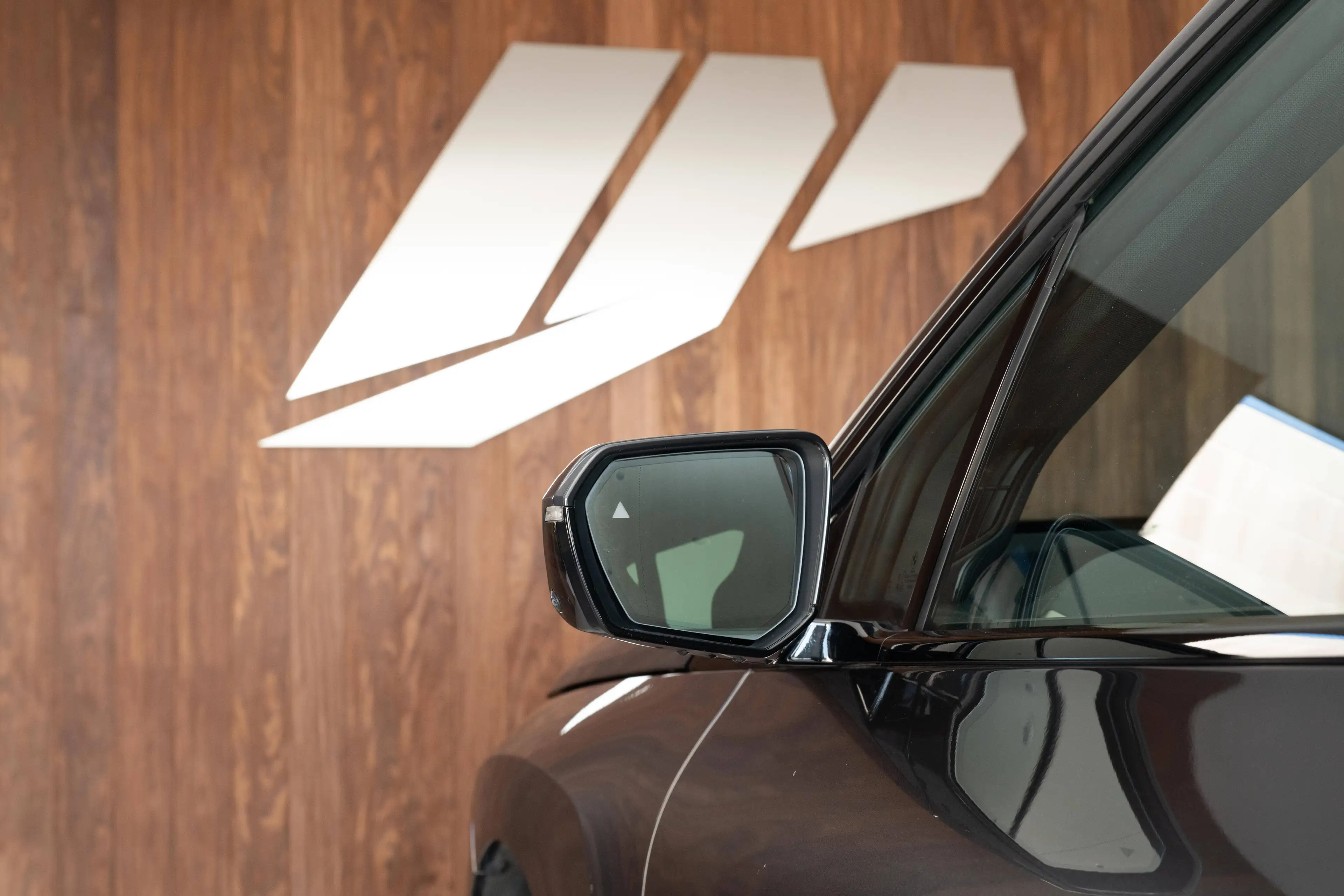 BMW iX xDrive 40e, M pack, parking+, zetel-en stuurwielverw — photo 18