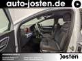SEAT Ibiza FR 1.0TSI DSG Voll-LED INFOTAIN BeatsAudio Weiß - thumbnail 10
